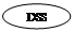 ����: DSS