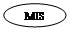 ����: MIS
