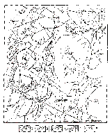ris1sm.gif (4479 bytes)