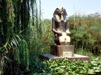 ��������� �������