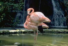 �����. ���. ������������ �������� �������. ������ � ����� � ���. ���� � ������� � �������.