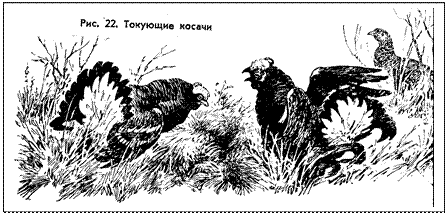 �������:  