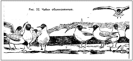 �������:  