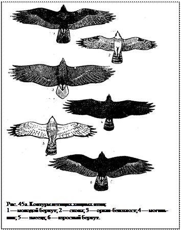 �������:  
���. 45�. ������� ������� ������ ����:
1 � ������� ������; 2 � �����; 3 � �����-���������; 4 � ��-��������; 5 � ������; 6 � �������� ������.
