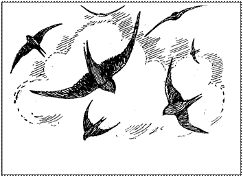 �������:  