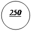 ����: 250