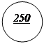 ����: 250